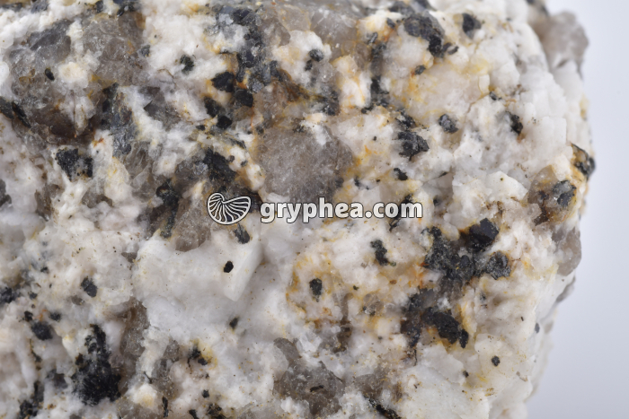 Granite en cours d'altération (détail) - gryphea.com